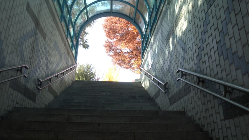 road 13