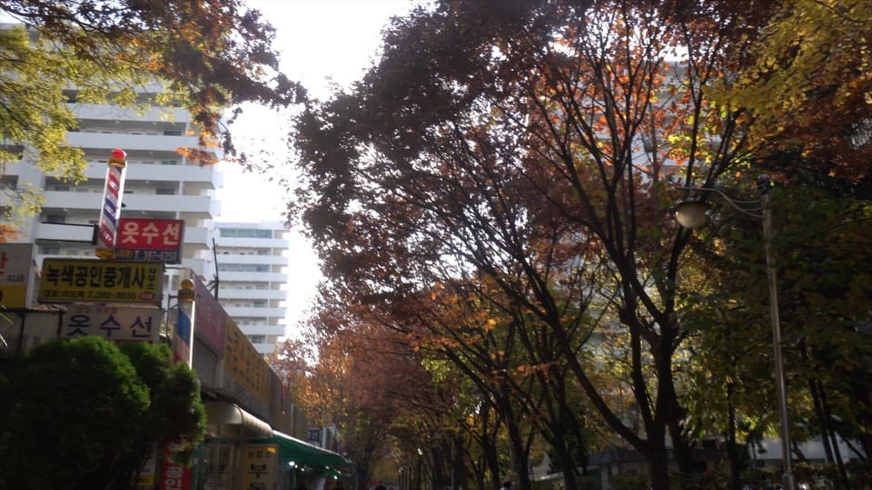 road 3