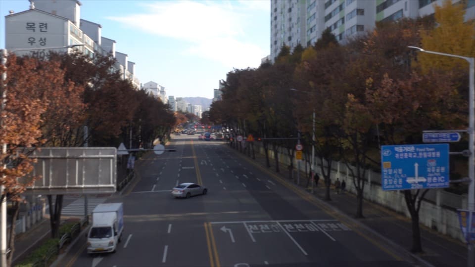 road 9
